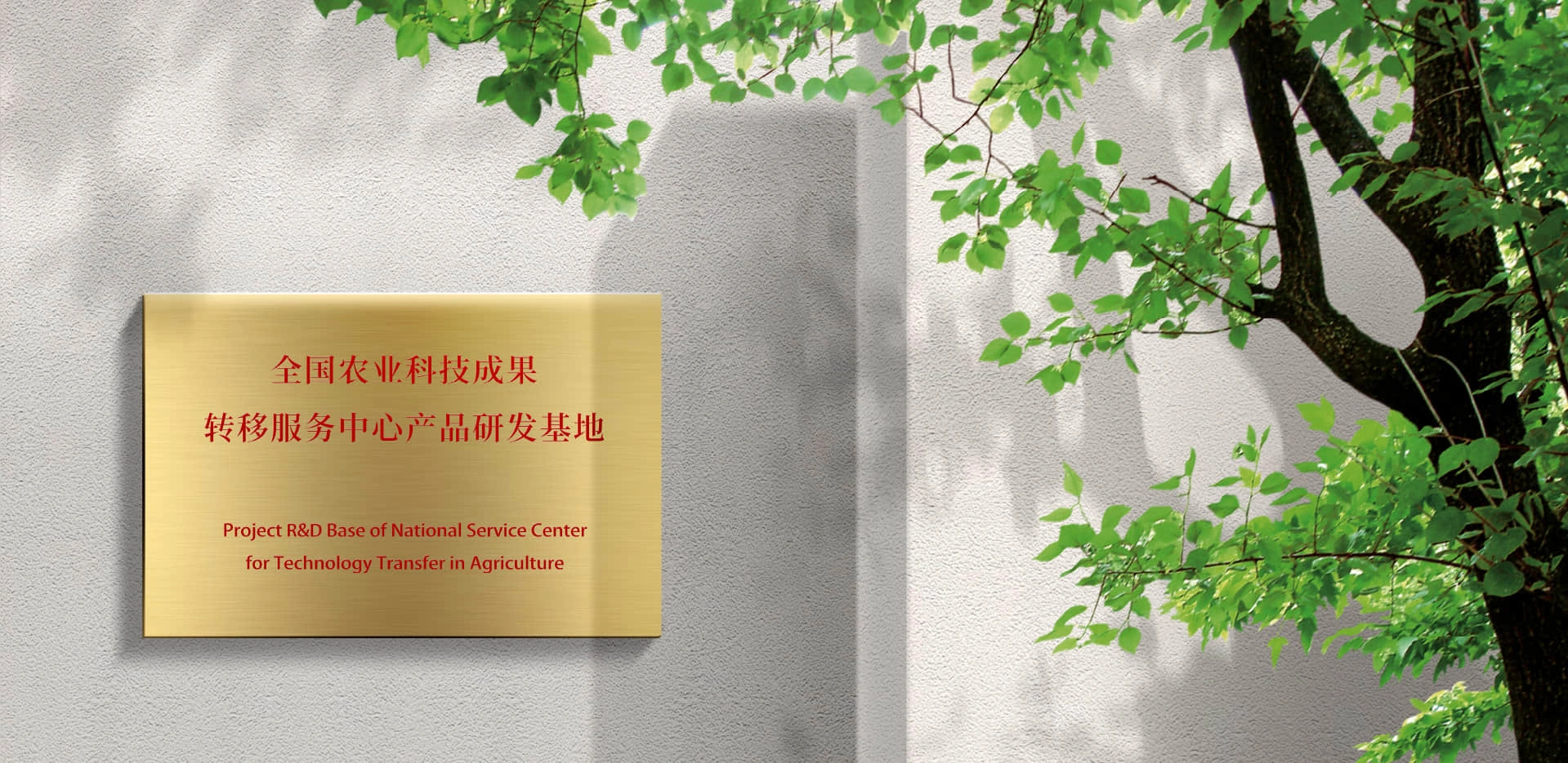 全国农业科技成果转移服务中心产品研发基地(微念)