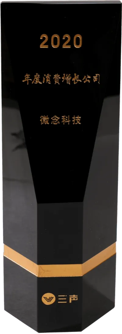2020年度消费增长公司
三声